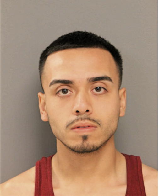 MANUEL VEGA, Cook County, Illinois