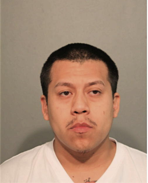 RICHARD ALCANTARA, Cook County, Illinois