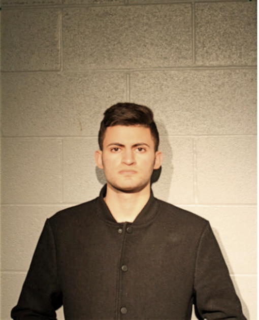 ANAS R ALKOUK, Cook County, Illinois
