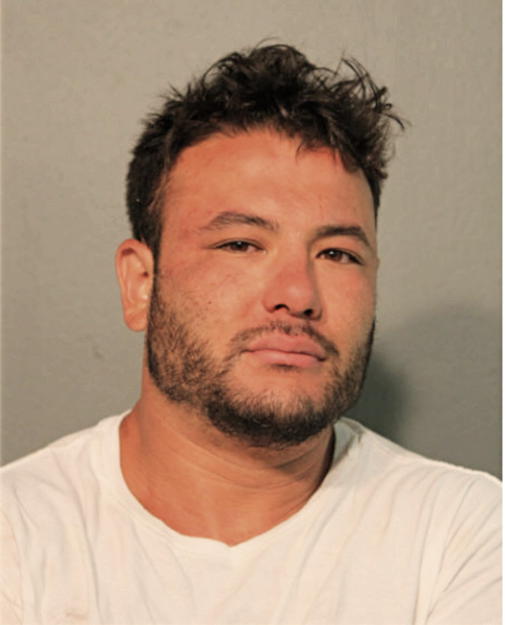 JOSHUA M COMPARINI, Cook County, Illinois