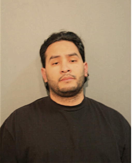 ANTHONY J DIAZ, Cook County, Illinois