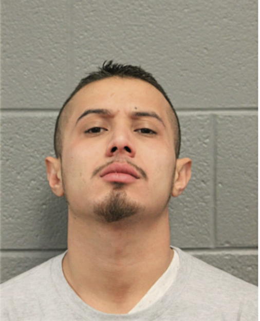 OMAR A DIAZ, Cook County, Illinois