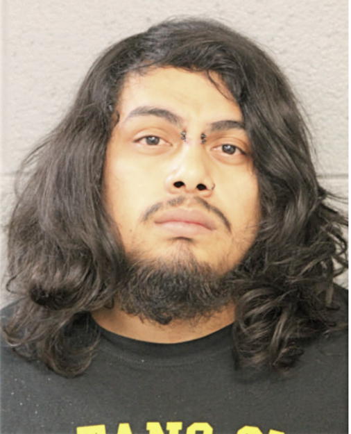 ANTONIO A FLORES, Cook County, Illinois