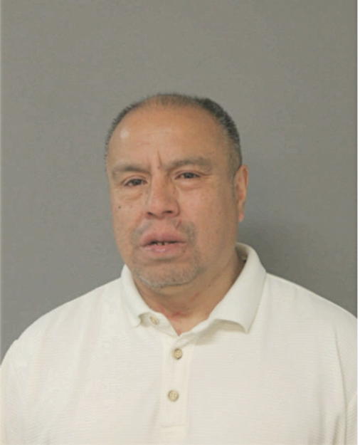 DAVID A GONZALEZ, Cook County, Illinois