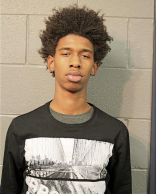NOAH M HARWICK-POLK, Cook County, Illinois