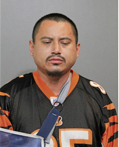 JAVIER HERNANDEZ, Cook County, Illinois