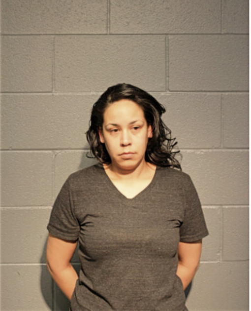 MICHELLE E HUTCHERSON, Cook County, Illinois