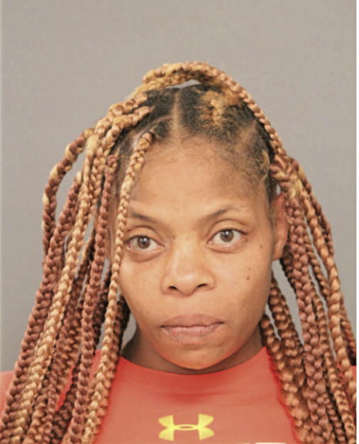 NATASHA N JONES, Cook County, Illinois