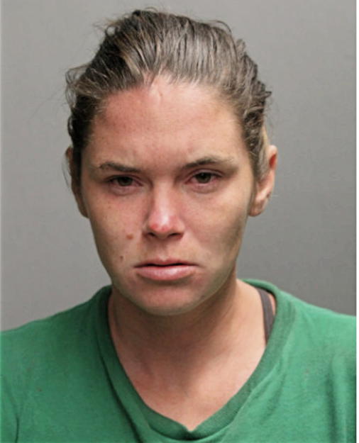 CARRIE L KINSLER, Cook County, Illinois