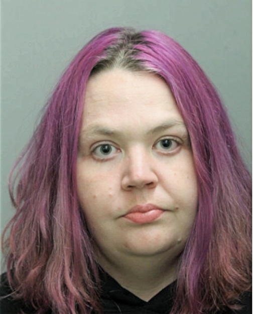 CARRIE L LEWEY, Cook County, Illinois