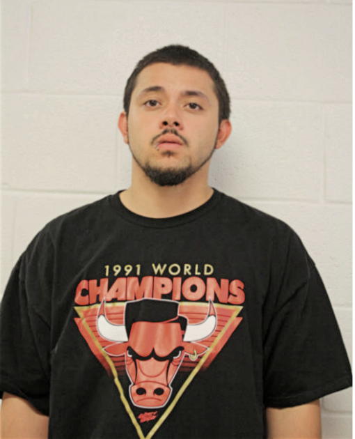 HECTOR M PAGAN, Cook County, Illinois
