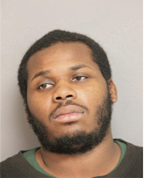 ROUSHAN S PARHAM, Cook County, Illinois