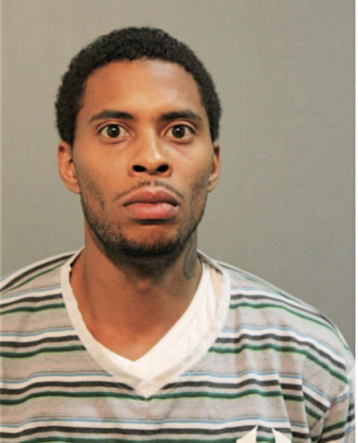 MICHAEL E RODGERS, Cook County, Illinois