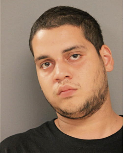 JOSE L ROSARIO-NIEVES, Cook County, Illinois