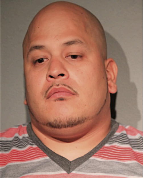 ERNESTO VEGA, Cook County, Illinois