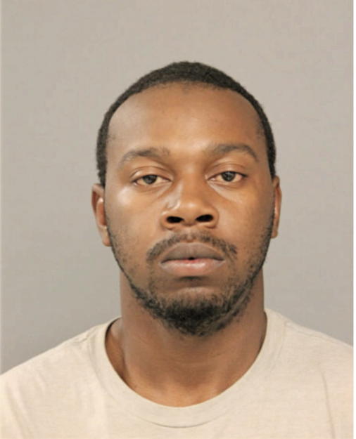 TYRONE J WEBSTER, Cook County, Illinois