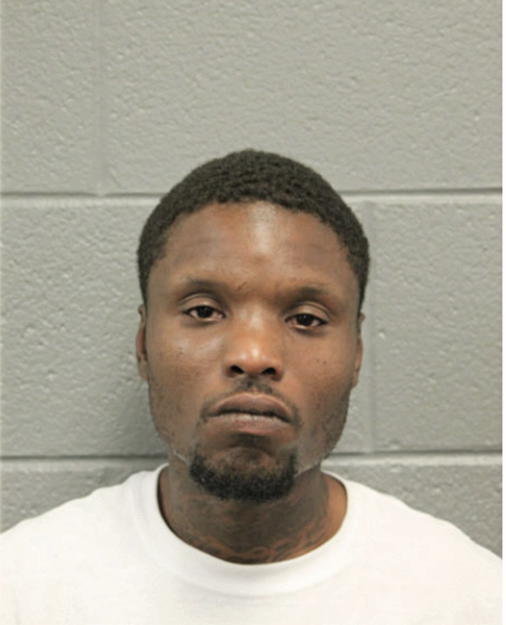 STEVEN L ALSTON, Cook County, Illinois