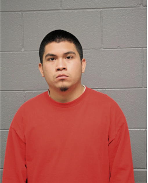 JOHNNY ALVA, Cook County, Illinois