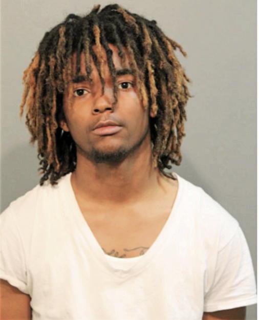 DION A BAILEY, Cook County, Illinois