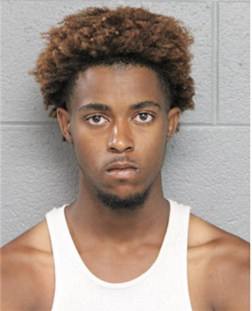 BRANDON XAVIER BLOSSOMGAME, Cook County, Illinois