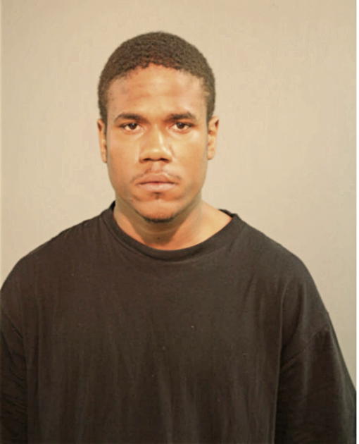 LENNY M BROOKINS, Cook County, Illinois