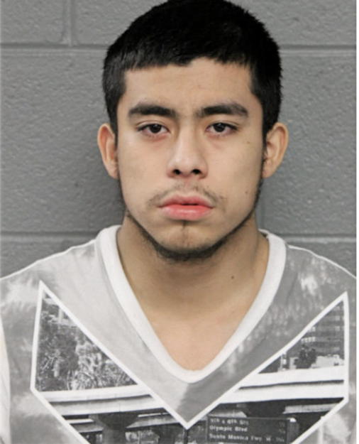 JUAN M CORTINA, Cook County, Illinois