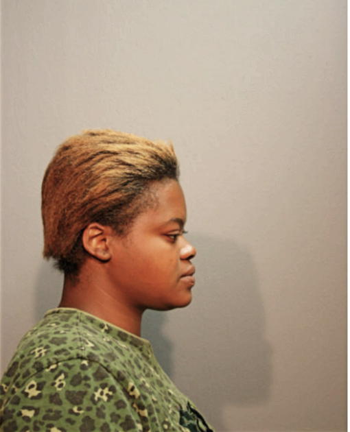 ASHLEY N DANIELS, Cook County, Illinois