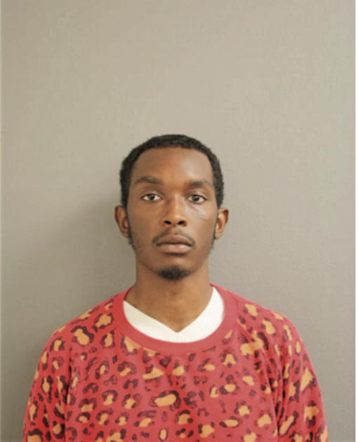 TIMOTHY D DAVENPORT, Cook County, Illinois