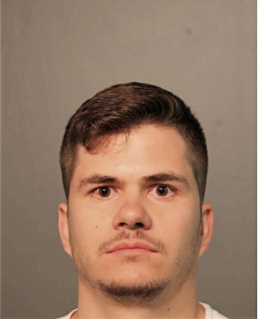 LAURENT DESCHAMPS, Cook County, Illinois