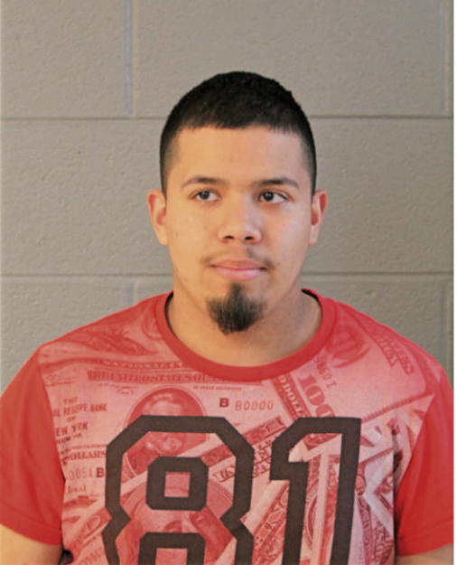 DIEGO NAVARRO DOMINGUEZ, Cook County, Illinois