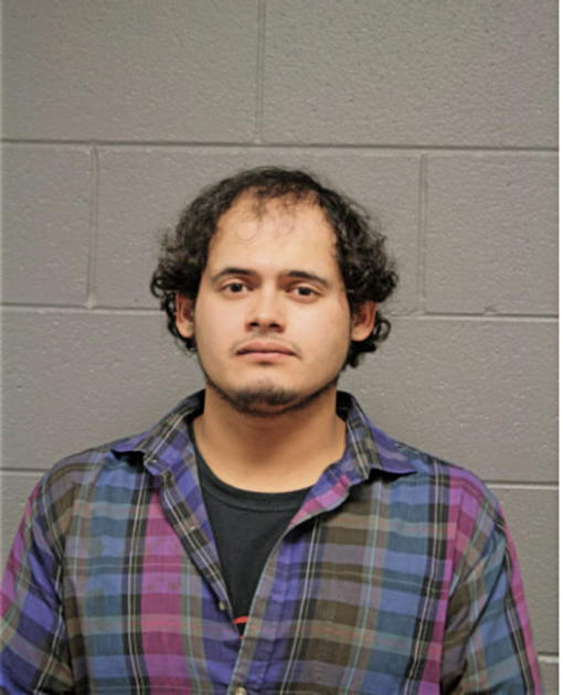 ERIKO ESCOTO, Cook County, Illinois