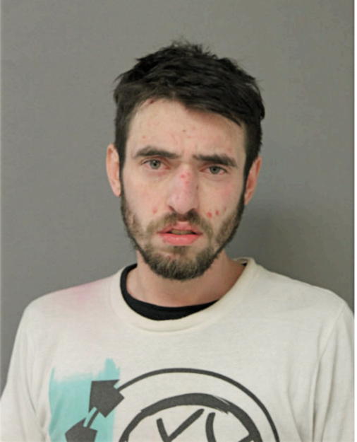 RYAN M FITZSIMMONS, Cook County, Illinois