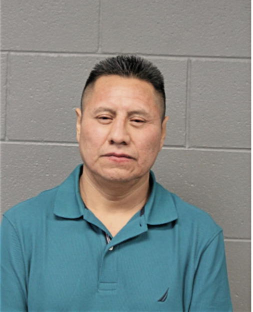 CALIXTO R GONZALEZ, Cook County, Illinois