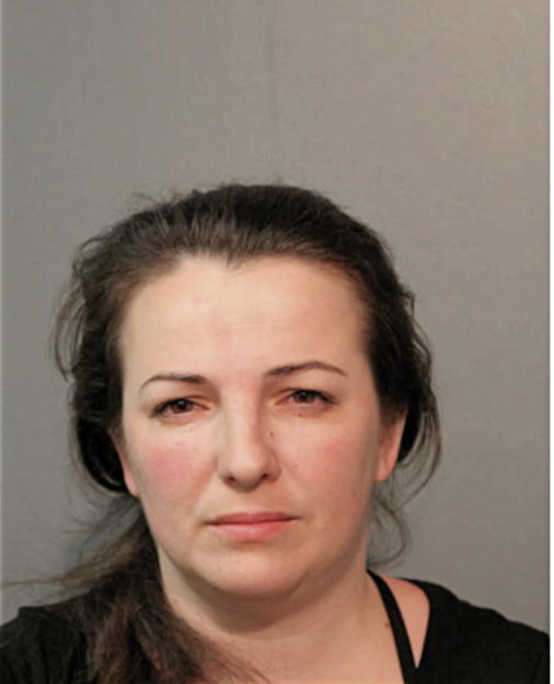 TETYANA B HRUSHKA HALYSH, Cook County, Illinois