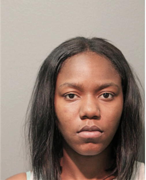 TERRIE L HUNTER, Cook County, Illinois