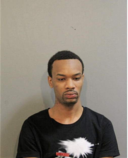 WILLIAM F IRVING, Cook County, Illinois