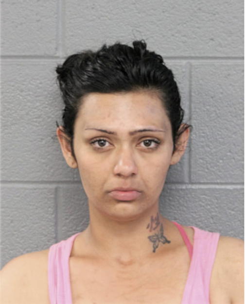 NICHOLE S JOHNS, Cook County, Illinois