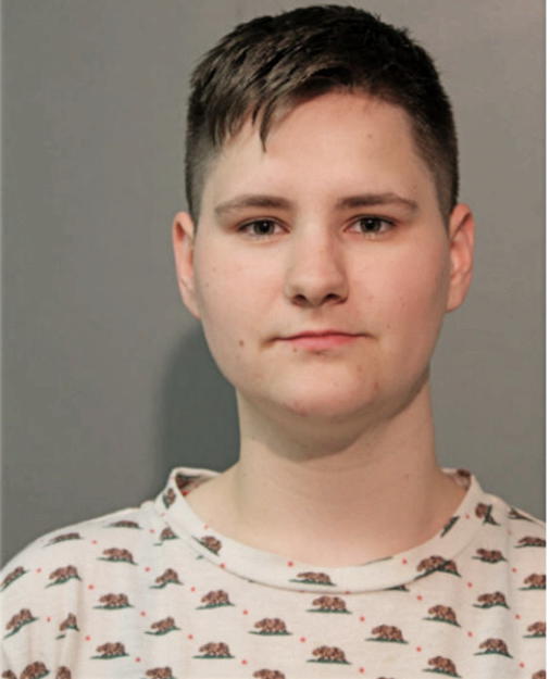 JESSICA M KRUK, Cook County, Illinois