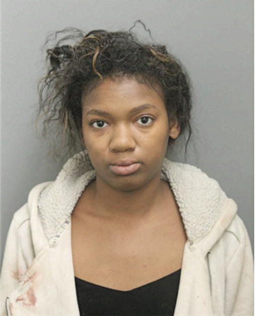 CHRISTINA L MCEWIN, Cook County, Illinois