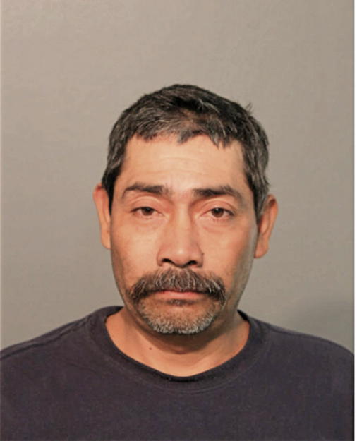 JESUS MEDINA, Cook County, Illinois