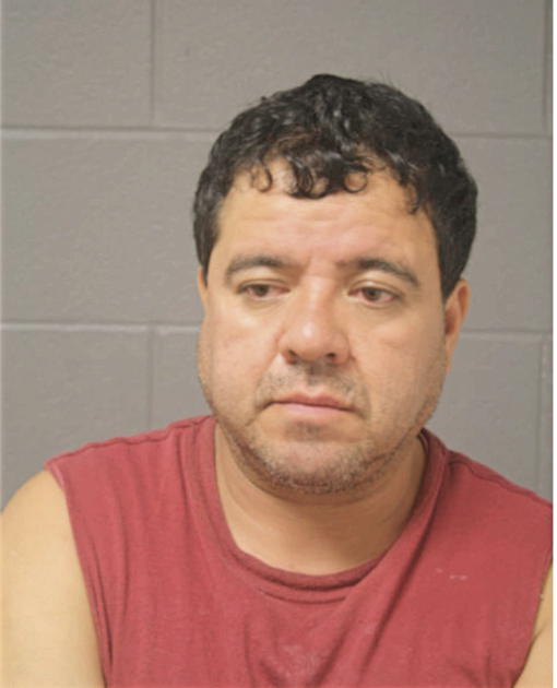 JOSE A MEDINA, Cook County, Illinois