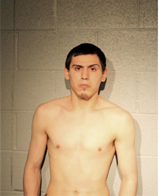 NICHOLAS J MOYA, Cook County, Illinois