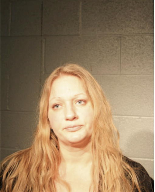 DAWN D NICCHIA, Cook County, Illinois