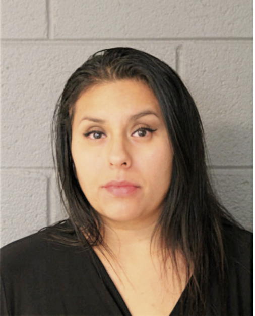 ANNETT SANCHEZ, Cook County, Illinois