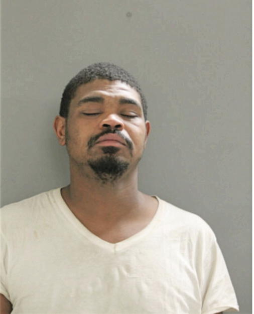 RACHIDE T ANDERSON, Cook County, Illinois