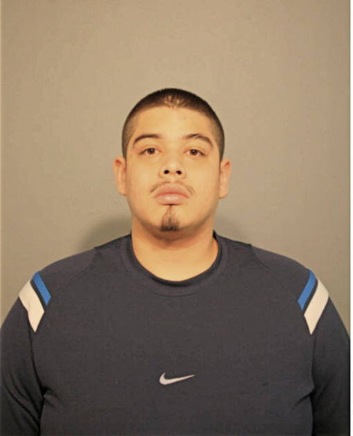 BLAS ARZOLA, Cook County, Illinois