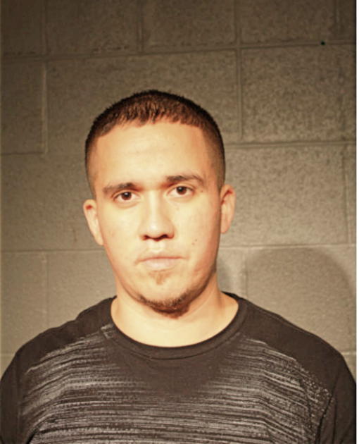 JULIO A AVILES, Cook County, Illinois