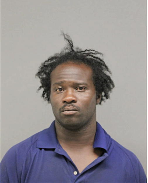 OLAWALE O BABALOLA, Cook County, Illinois