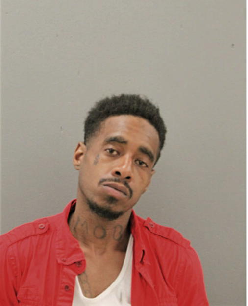 STEVEN A BROWN, Cook County, Illinois