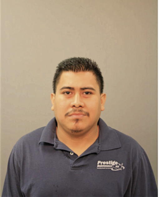DIOMAR DELACRUZ, Cook County, Illinois